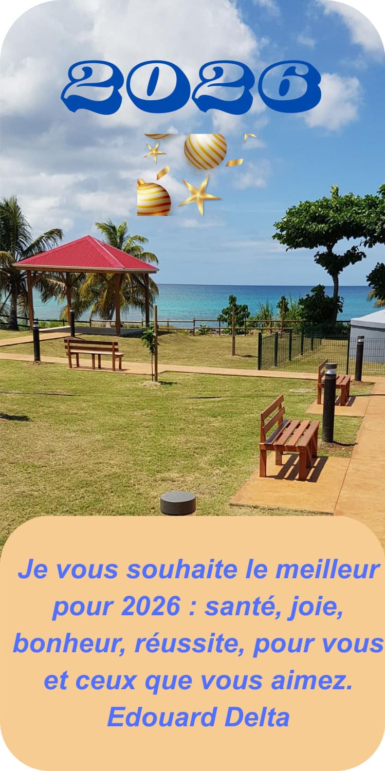 Voeux de Monsieur le Maire Edouard DELTA